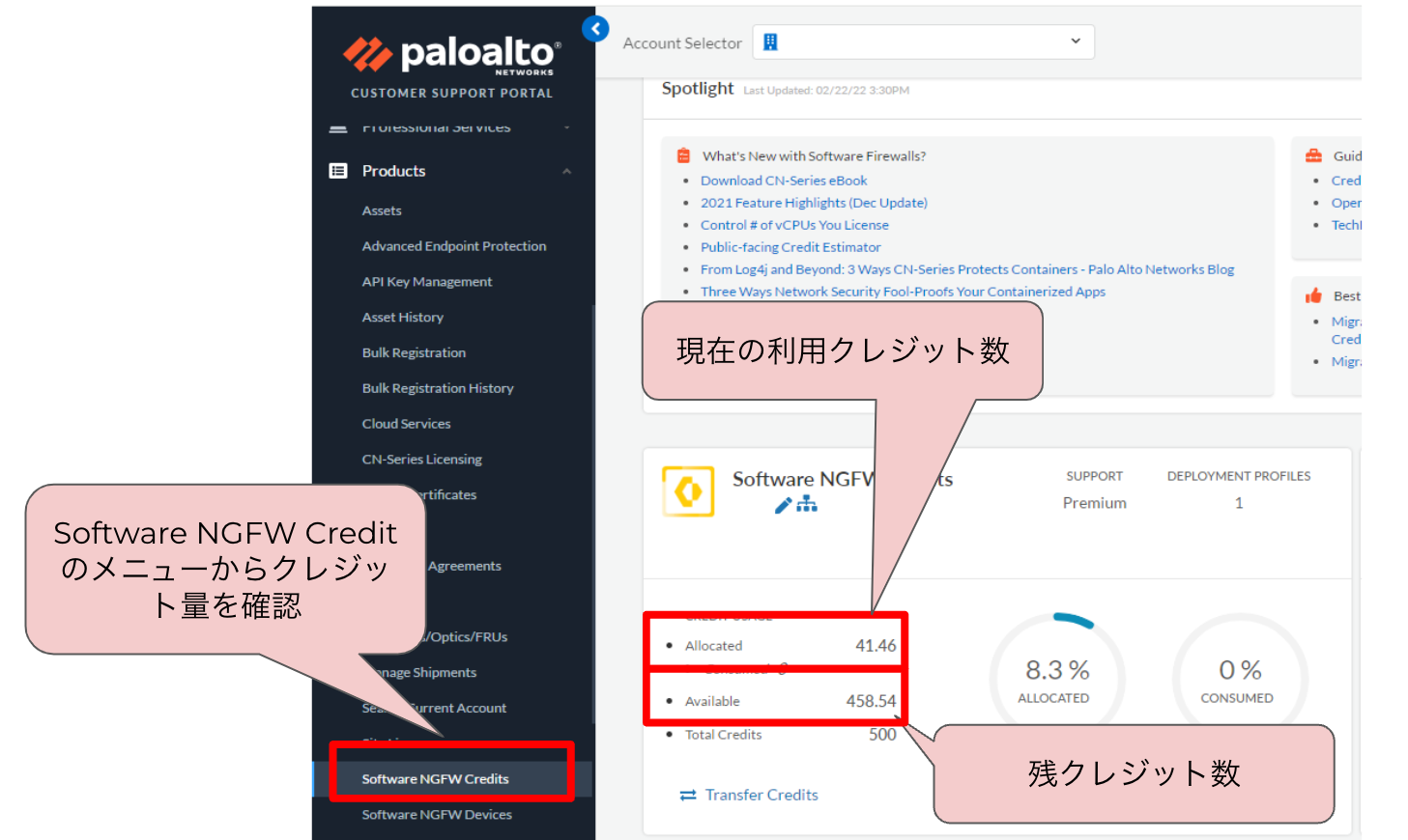 図6. カスタマーサポート・ポータル(CSP)サイトでは購入済みクレジットの利用状況がひと目で分かるように